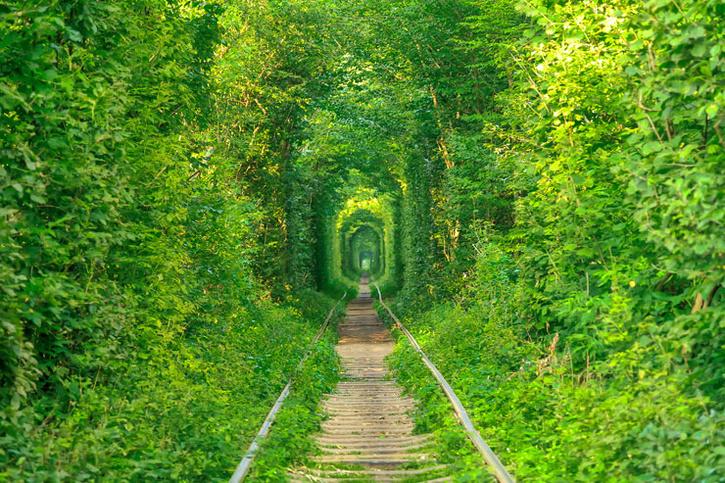 Photo of Tunnel of Love